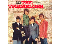 Here Come The Tremeloes lp