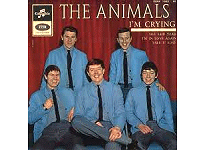 The Animals