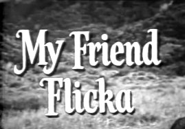 My Friend Flicka