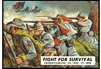 Fight For Survival