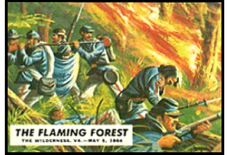 The Flaming Forest