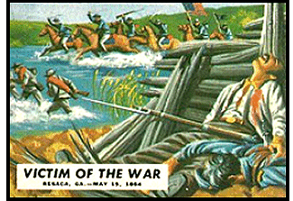 Victim Of The War