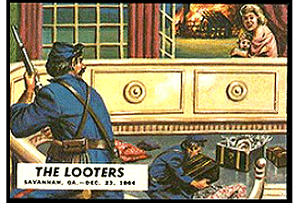 The Looters