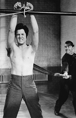 Sixties City - Elvis - Jailhouse Rock - Bill Harry's Sixties