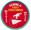 Gemini 4