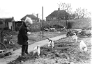 Me feeding next door's escaped chickens